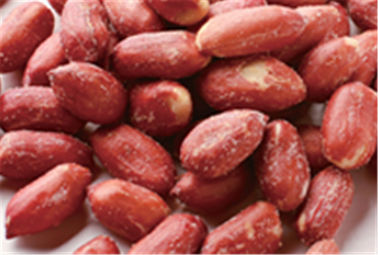 맥주 Nuts 큰 빨간 사탕 입히는 땅콩 알갱이 각종 맛 HALAL Certifiaction