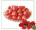 FD 과일 묵 신선한 과일 딸기 황색 복숭아 통조림으로 만들어지는 플라스틱 컵 패킹