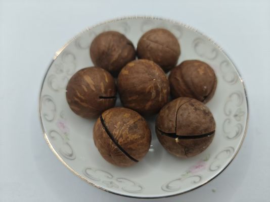 마카다미아 견과류