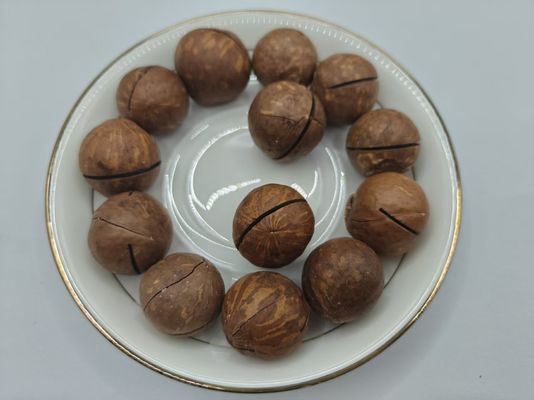 플라스틱 봉투 속 맛있는 천연 마카다미아 견과