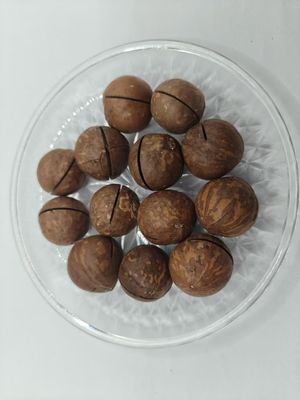 플라스틱 봉투 속 맛있는 천연 마카다미아 견과