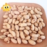 코셔 할랄 인증 코팅 로스트 매운 노란 에다마메 소아 콩 간식 ISO 승인