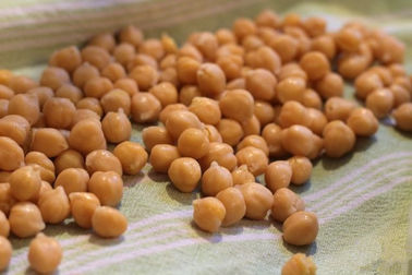 후추가루 불에 구워진 Chickpeas 식사, 말린 소금에 절이는 Chickpeas 높은 영양