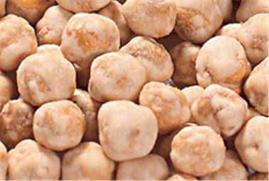 입힌 다 풍미는 포함된 Chickpeas 식사 Wasabi 미량 원소를 불에 구웠습니다