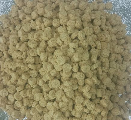 입히는 소금에 절이는 불에 구워진 캐슈 FDA 정결한 Halal 증명된 간식